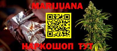 крисы Новодвинск
