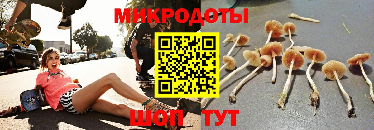 Прокопьевск  Псилоцибиновые грибы мицелий  Галлюциногенные грибы GOLDEN TEACHER  Вход с VPN 